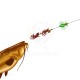 Αρματωσιές για ψάρεμα κυπρίνου Madcat Screaming Profi River Rig - Worm & Squid