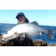 Wobbler Duel μοντέλο L-Blue Twitchbait, μήκος 7.0 εκ, βάρος 8.5γρ - Κορυφαία ποιότητα