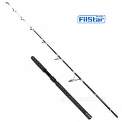 Καλάμι για ψάρεμα γουλιανού Filstar Extreme Cat 1.80μ 200γρ