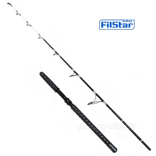 Καλάμι trolling Filstar 1.80 μ