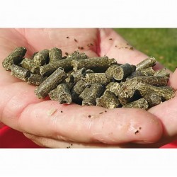 Πελέτες Ψαρέματος Carp Zoom Amur Pellets