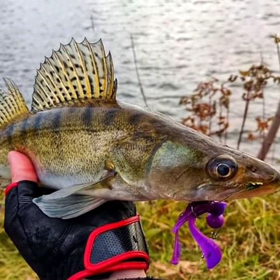 Σιλικονούχα δολώματα M5 Craft Turbo Crayfish 2.8 White Pearl, 6 τεμ.. - σιλικονούχο δόλωμα για αρπακτικά