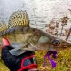 Σιλικονούχα δολώματα M5 Craft Turbo Crayfish 2.8 White Pearl, 6 τεμ.. - σιλικονούχο δόλωμα για αρπακτικά