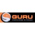 Guru
