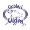 Vidra