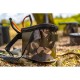 Τσάντα Δολώματος Fox Aquos Camolite EVA Bait Belt