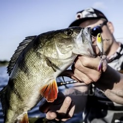 Τεχνητό Spinner Quantum 4street Spin-Jig - χρώμα Baitfish