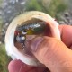 Σετ 4 τμχ Τεχνητά Σιλικόνης Rudie's Hata Fish - 10.2εκ - χρώμα 12