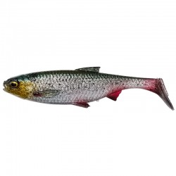 Τεχνητό Σιλικόνης Savage Gear 3D River Roach 14εκ 28γρ - Green Silver