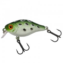 Τεχνητό Berkley Pulse Fry Shallow - Frog