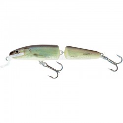 Wobbler Salmo Fanatic - Floating - χρώμα RBL