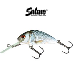 Sinking Wobbler Salmo Hornet - Χρώμα RDE