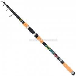 Καλάμι Remixon Strong Tele Carp 3.90μ 5.0lb