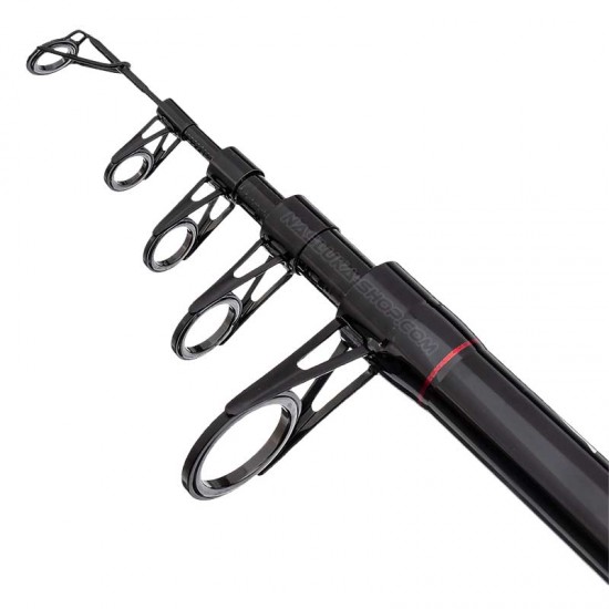 Καλάμι spinning Berkley 3.00 μ