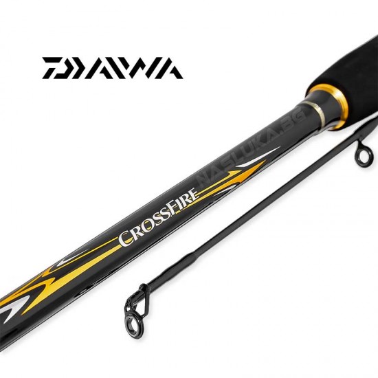 Jigging καλάμι Daiwa 2.40 μ