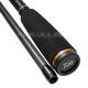Jigging καλάμι Daiwa 2.40 μ
