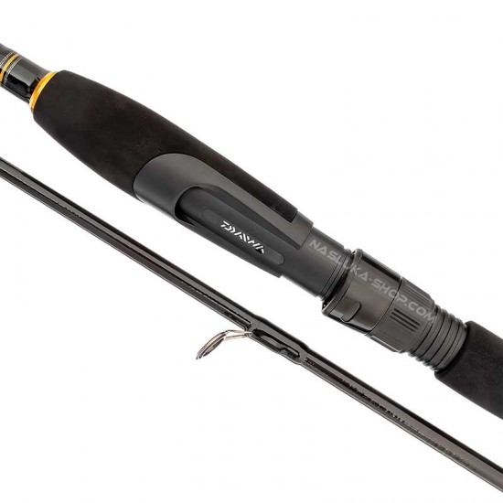 Καλάμι spinning Daiwa 2.70 μ