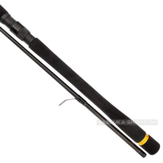 Καλάμι spinning Daiwa 2.70 μ