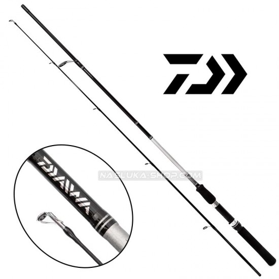 Jigging καλάμι Daiwa 2.10 μ