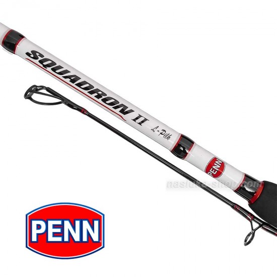 Καλάμι spinning Penn 2.70 μ