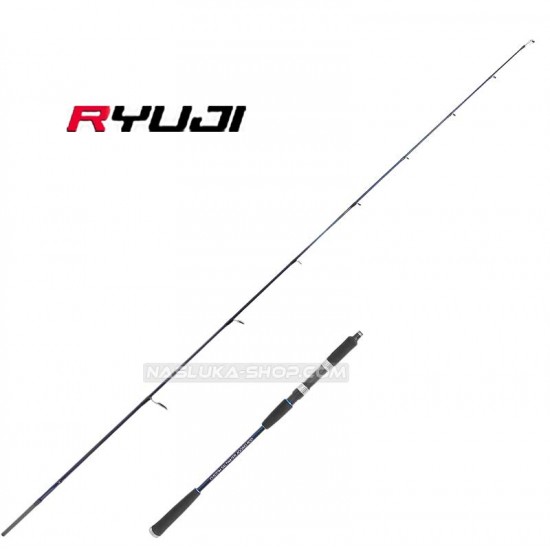 Jigging καλάμι Ryuji 1.98 μ