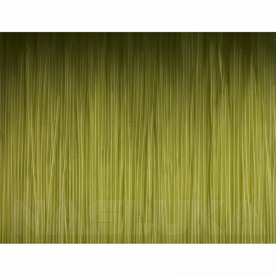 Μεσινέζα Ψα΄ρεμα Κυπρίνου Prologic Density Carp Mono 1000μ - Green