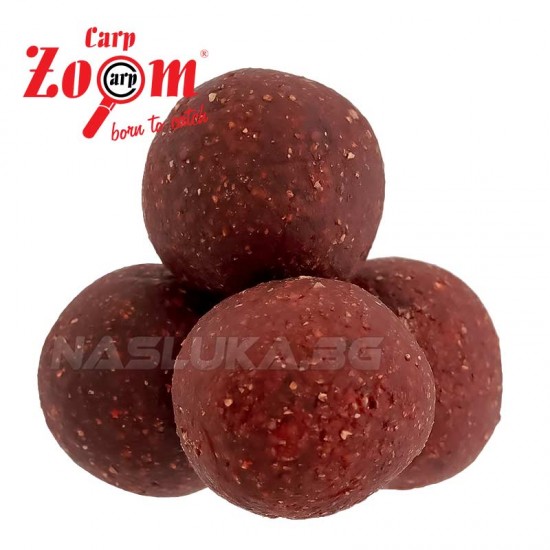 Πρωτεϊνούχα μπαλάκια Carp Zoom