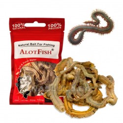 Αποξηραμένα θαλάσσια σκουλήκια Alot Fish Green Worms