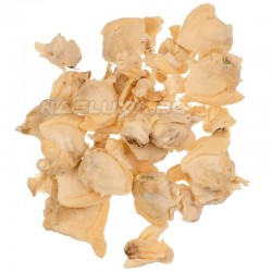 Αποξηραμένα μύδια Alot Fish Shell Meat
