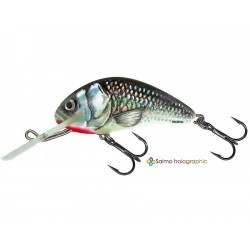 Floating wobbler Salmo Hornet - Χρώμα HGS